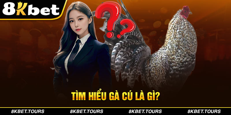 Tìm hiểu gà cú là gì?