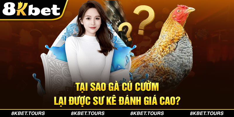 Tại sao gà cú cườm lại được sư kê đánh giá cao?