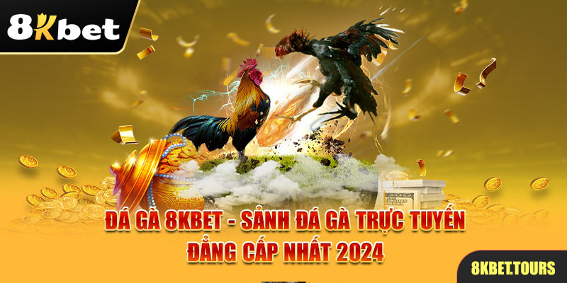 Đá gà 8Kbet - Sảnh Đá Gà Trực Tuyến Đẳng Cấp Nhất 2024