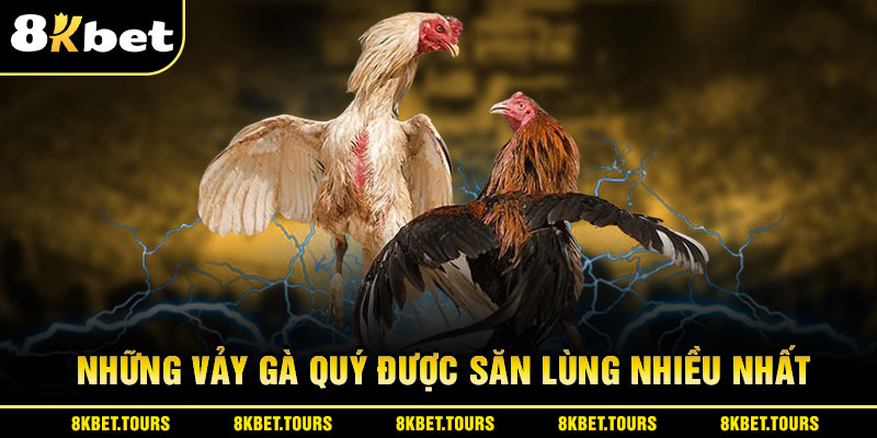 Điểm qua những vảy gà quý được săn lùng nhiều nhất