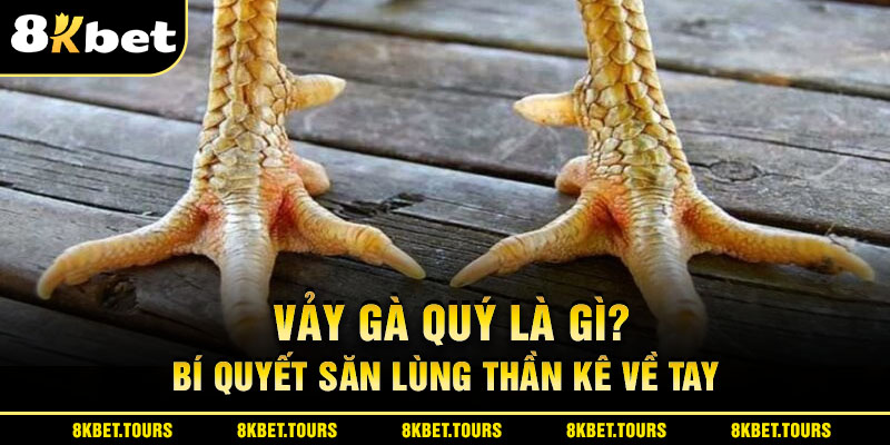 Vảy Gà Quý Là Gì? Bí Quyết Săn Lùng Thần Kê Về Tay