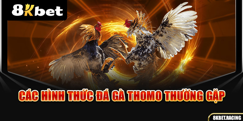 Các hình thức đá gà Thomo thường gặp