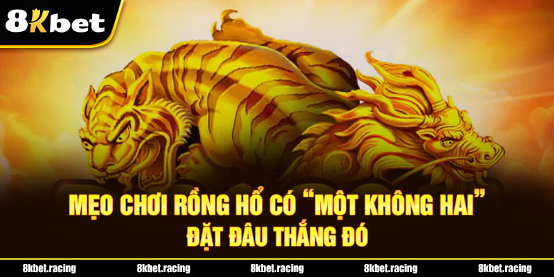 Mẹo Chơi Rồng Hổ Có “Một Không Hai” - Đặt Đâu Thắng Đó